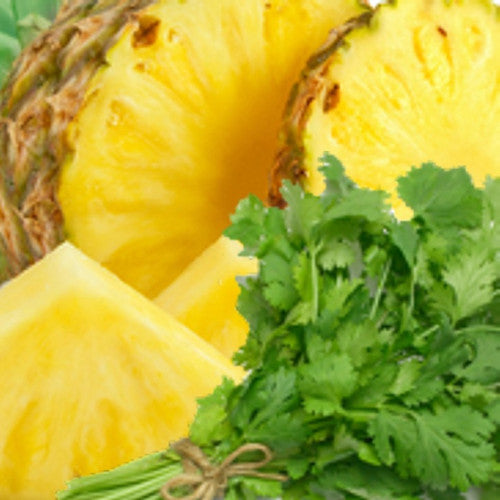 Pineapple Cilantro (Type) Fragrance Oil - Zoom Media 1