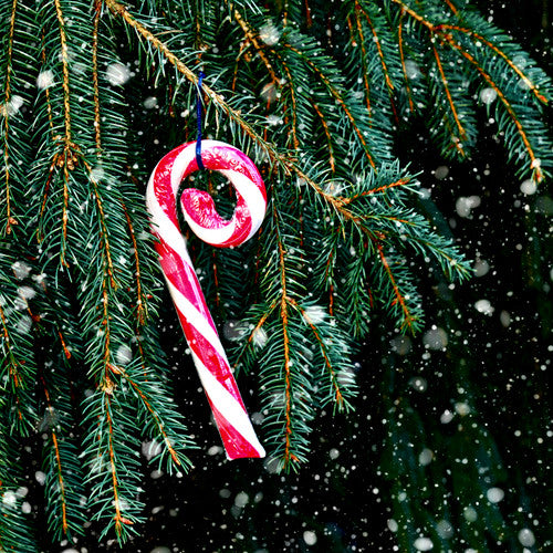 Pink Peppermint Snow Fragrance Oil - Zoom Media 1