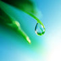 Rain Water Fragrance Oil - Zoom Thumbnail Media 1