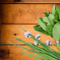 Red Cedar Fragrance Oil