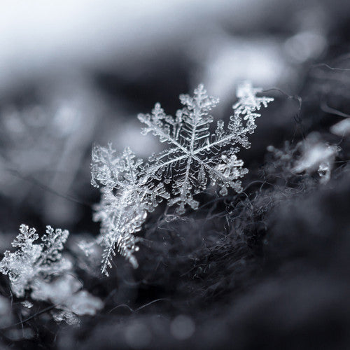 Shimmering Snowflake Fragrance Oil - Zoom Media 1