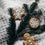 Sugared Spruce Fragrance Oil