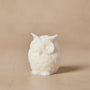 Owl Silicone Mold - Zoom Thumbnail Media 1