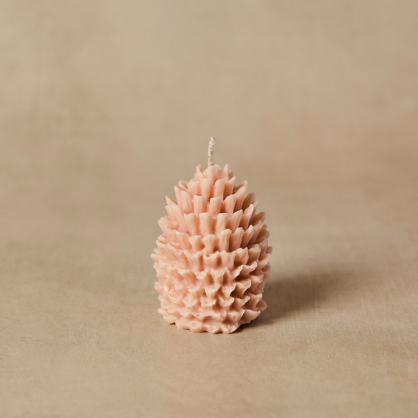 Silicone Pinecone Mold - Zoom Media 1