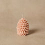 Silicone Pinecone Mold - Zoom Thumbnail Media 1