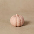 Silicone Pumpkin Mold