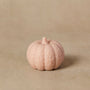 Silicone Pumpkin Mold - Zoom Thumbnail Media 1