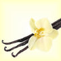 Vanilla Fragrance Oil - Zoom Thumbnail Media 1