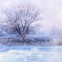 Winter Wonderland Fragrance Oil - Zoom Thumbnail Media 1
