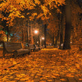 Autumn Night (Type) Fragrance Oil