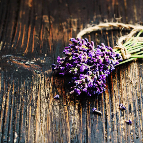 Black Amber & Lavender Fragrance Oil - Zoom Media 1