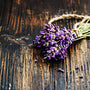Black Amber & Lavender Fragrance Oil - Zoom Thumbnail Media 1