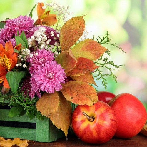 Botanical Orchard & Nectar Fragrance Oil - Zoom Media 1