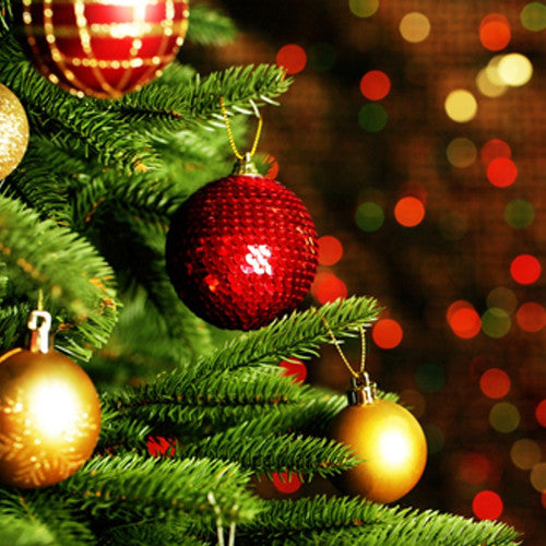 Christmas Tree Fragrance Oil - Zoom Media 1