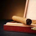 Cuban Cigar Fragrance Oil