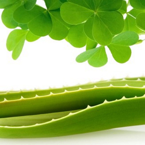 Green Clover & Aloe (Type) Fragrance Oil - Zoom Media 1