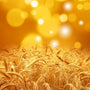 Harvest Spice Fragrance Oil - Zoom Thumbnail Media 1