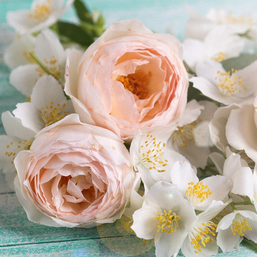 Honeysuckle Jasmine Fragrance Oil