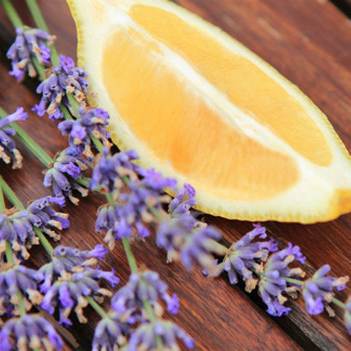Lemon Lavender Fragrance Oil - Zoom Media 1