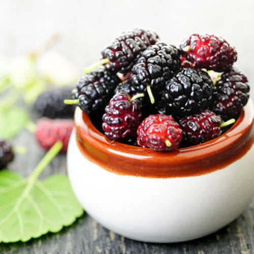 Mulberry Fragrance Oil - Zoom Media 1