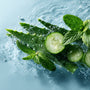 Meditative Mint & Aloe Fragrance Oil - Zoom Thumbnail Media 1
