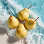 Saltwater & Pear Fragrance Oil - Zoom Thumbnail Media 1