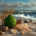 Coastal Cypress & Bergamot Fragrance Oil