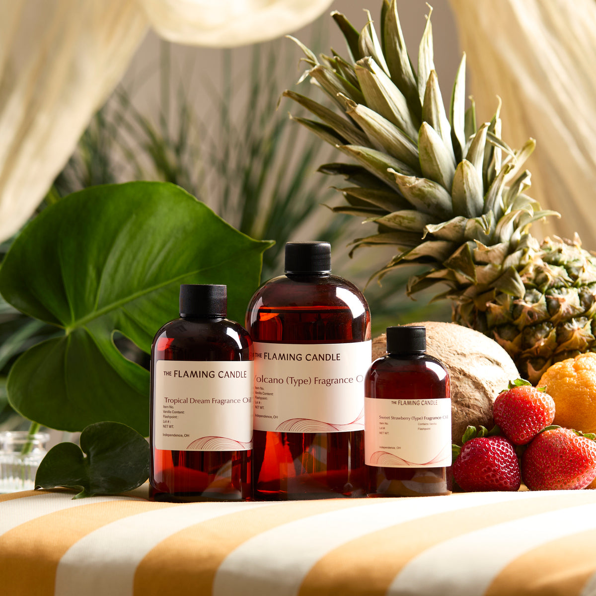 Top Rated Fragrances